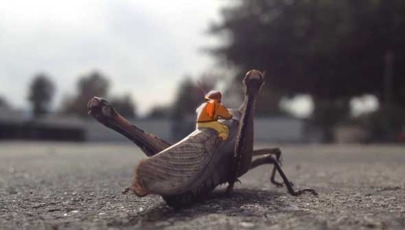 Grasshopper Aviation, un pequeño corto de animación