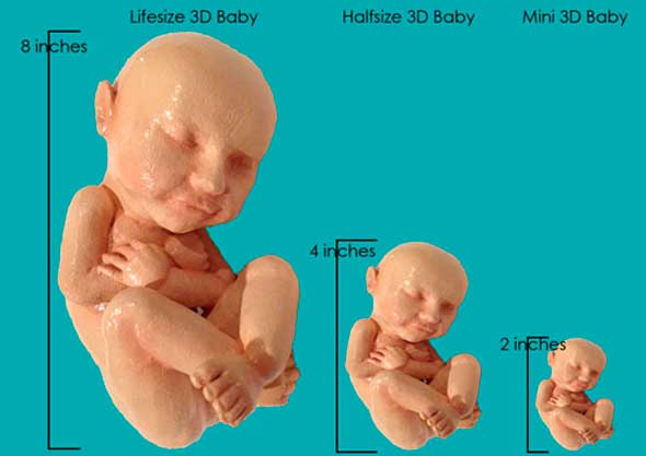 Impresión 3d feto bebé tamaño