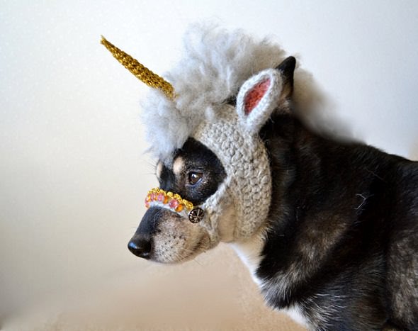 Máscara de unicornio para perro