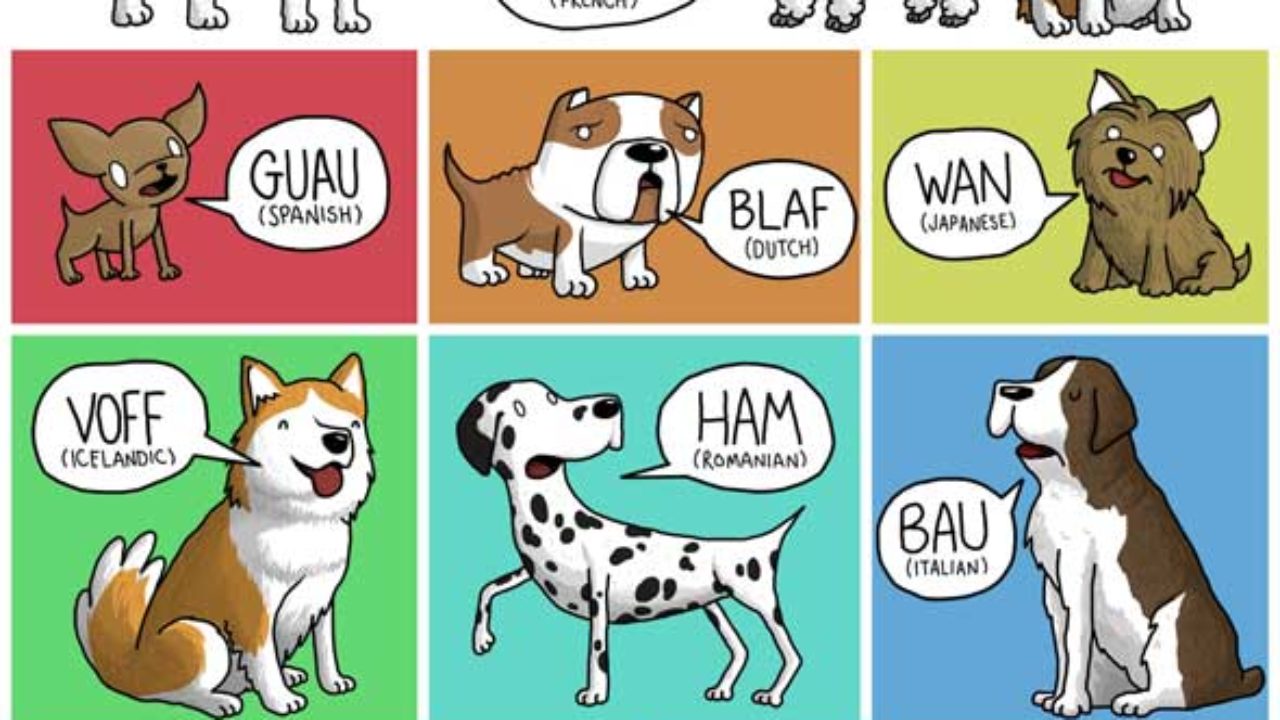 Звуки животных котов. Звуки животных на разных языках. Собака на разных языках. Собака Гав Гав Гав. Лай собаки на разных языках.
